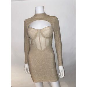 Nude Metallic Mesh Dress